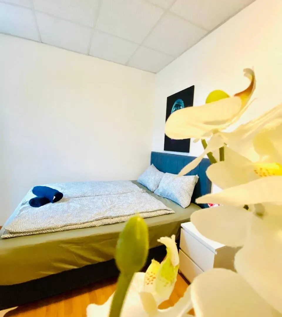 Homestay Comfortable Room In The 23Rd District Of Vienna Fr2 Austria