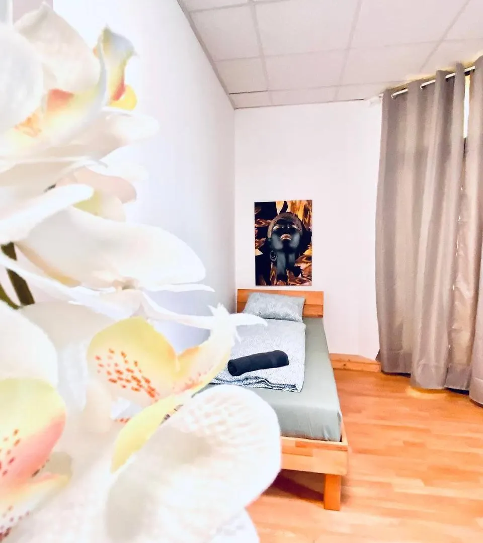 Comfortable Room In The 23Rd District Of Vienna Fr2 Homestay
